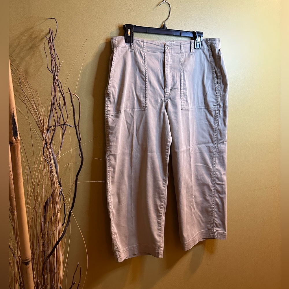 Chico’s Beige Capris RN# 79984 - Size 2